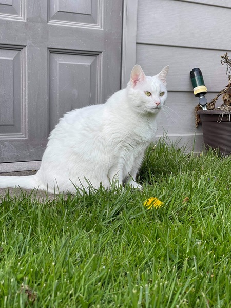 Maggie