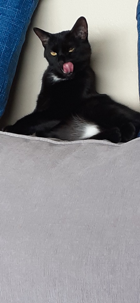 Salem