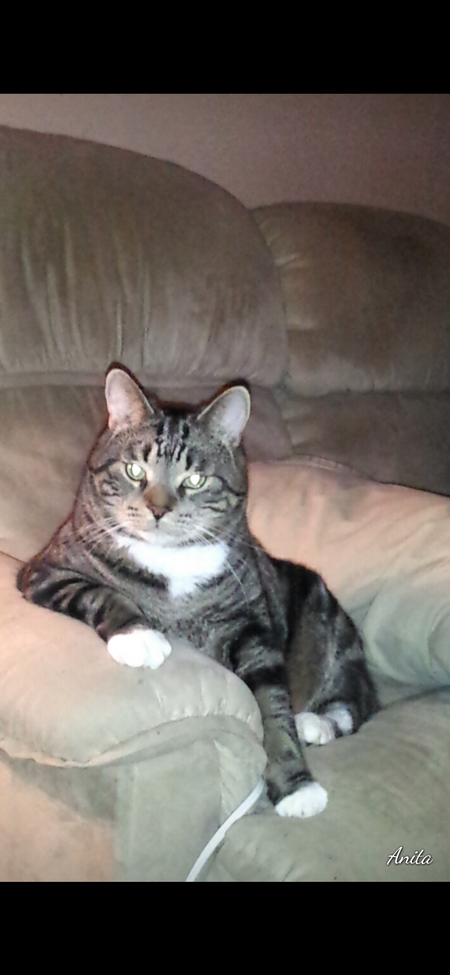 Mortimer