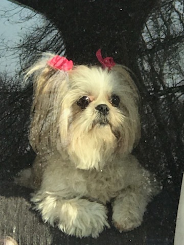 Bella