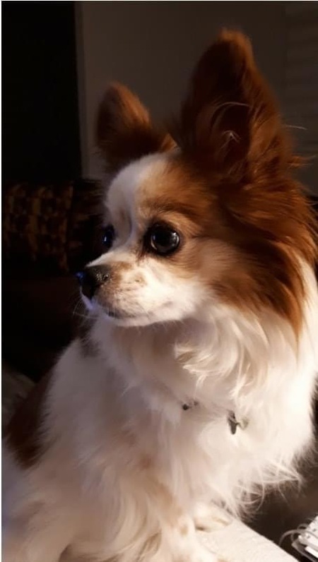 Zeus