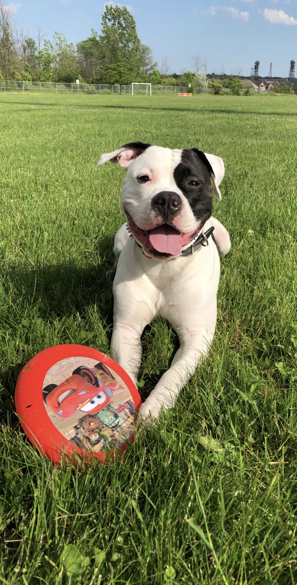 Vote for Titan LCHS 2022 Calendar Photo Contest