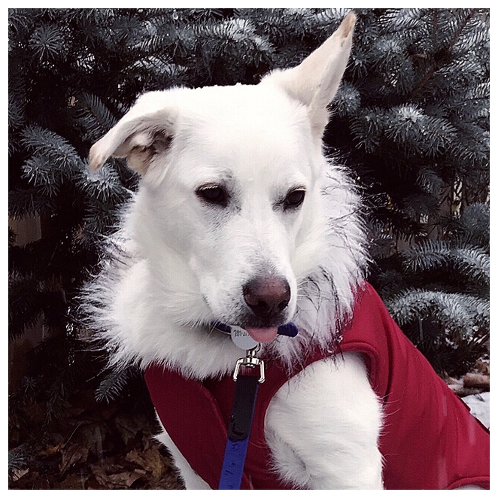 Vote for Zelda LCHS 2022 Calendar Photo Contest