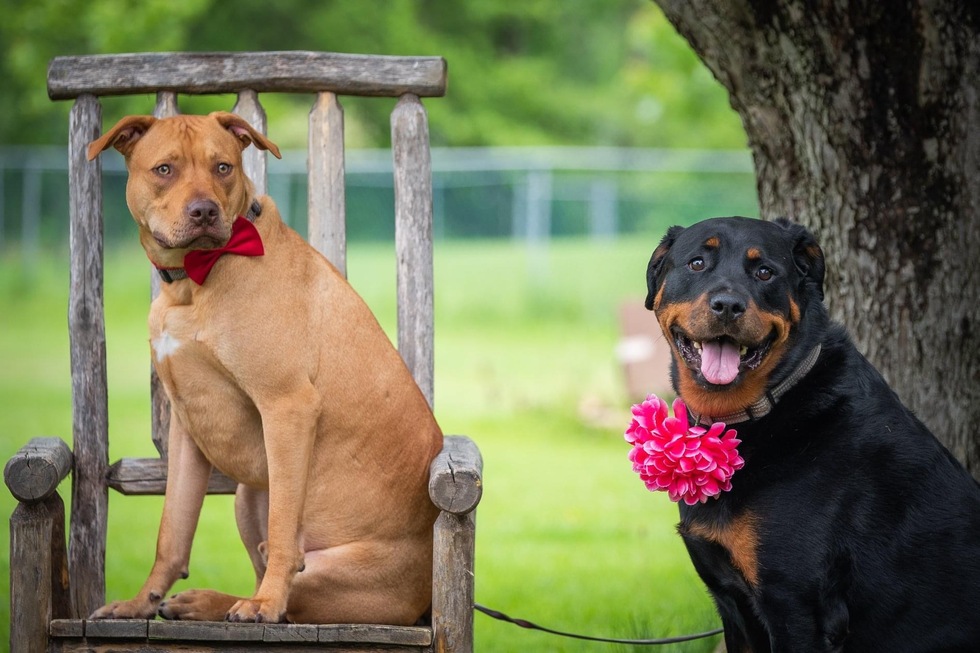Vote for Tucker LCHS 2022 Calendar Photo Contest