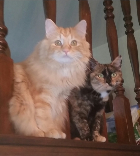 Rusty and Spicy