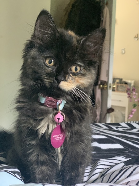Kiki