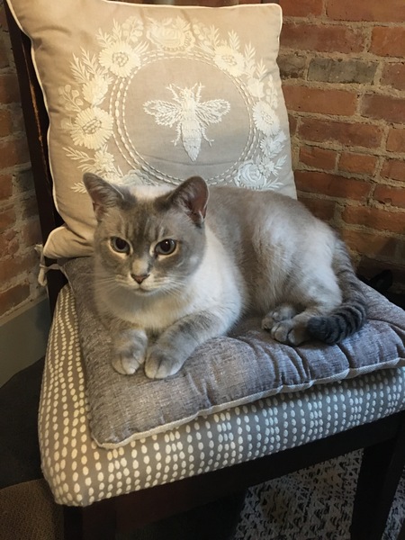 Coco