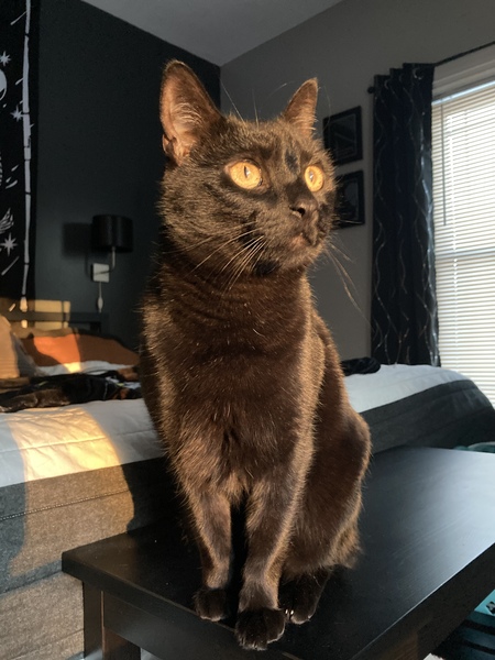 Little Dude