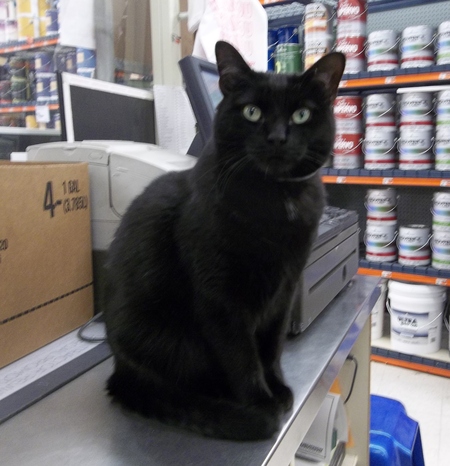 Merlin
