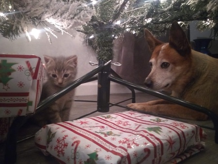 Wendi & Princess