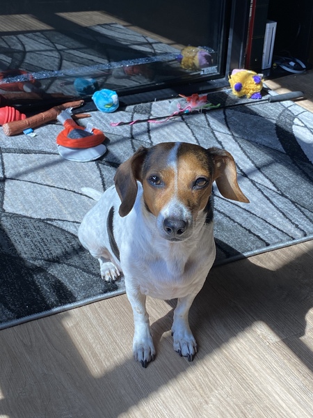 Fiona