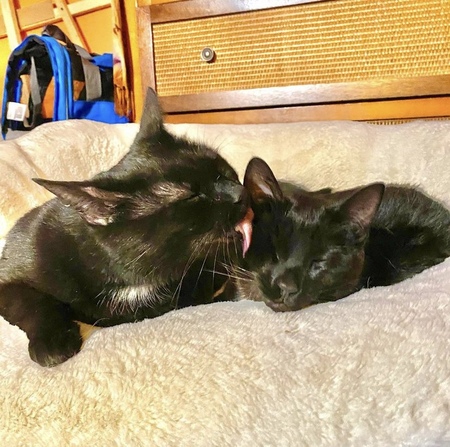 Gary and Carl 