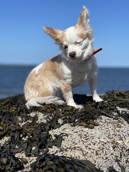 Chloe