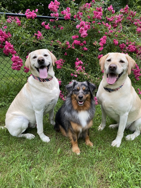 Theo,Finn,Luke
