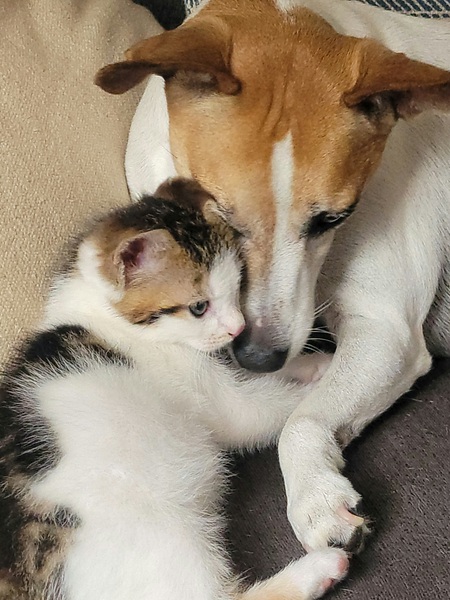 Skylar and Lexi