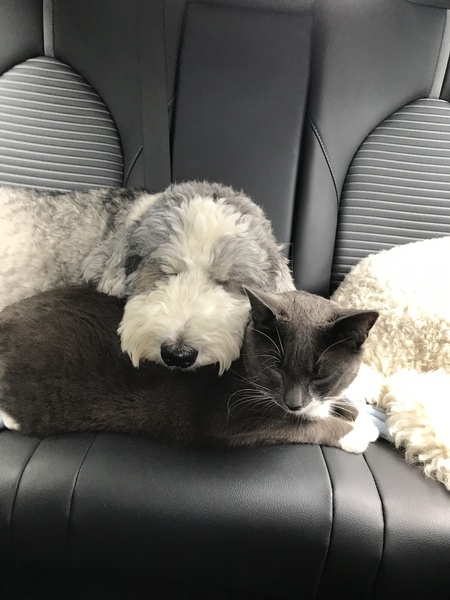 Mouse and Blanche 