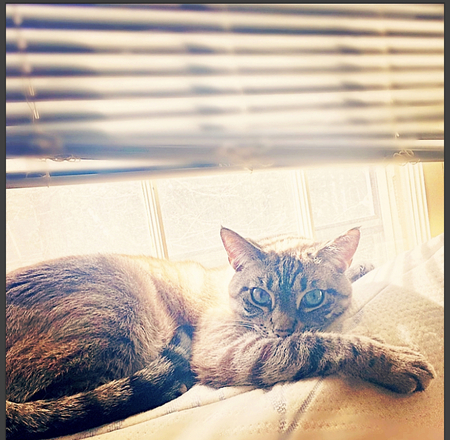 Luna 