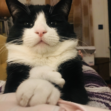 Tux