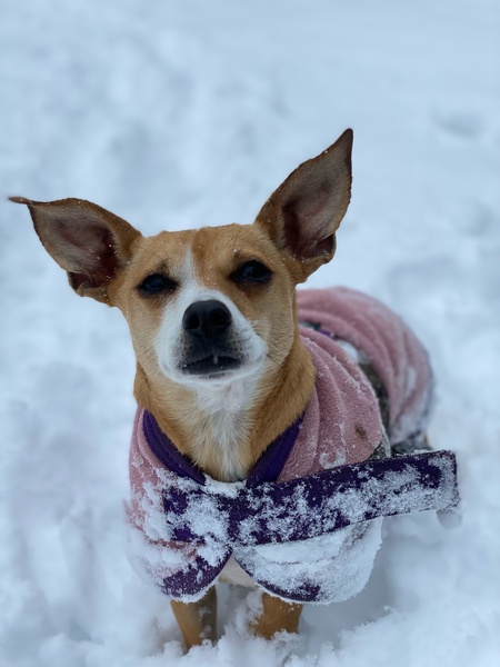 Winnie