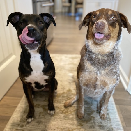 Hopper & Blue