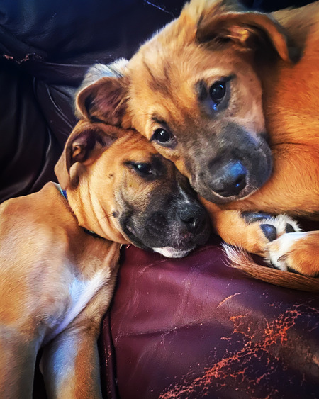 Sunny Girl & Livvy (The Grems)