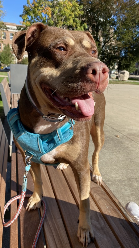 Hera
