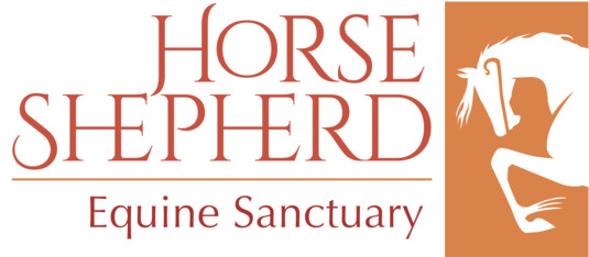 Logo for Winter Feed Fun Photo Fundraiser