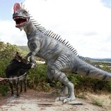 Entry image for Plonka and Wonka meet Dino the Dinosaur