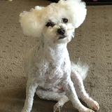 Entry image for Milly