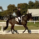 Entry image for HSES Dash 