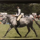 Entry image for James