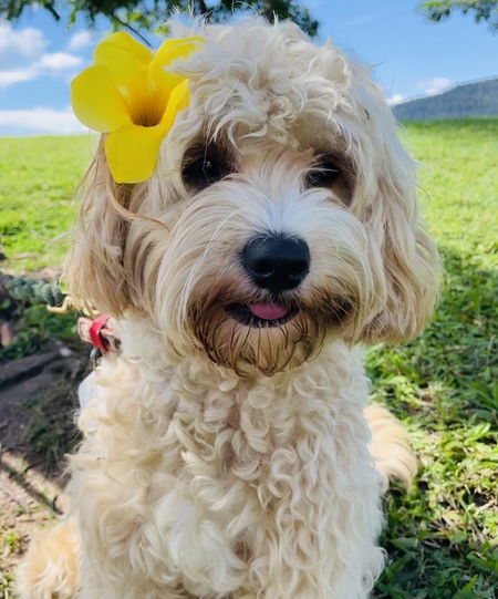 Entry image for Colbie. Clicking this image will show a larger photo
