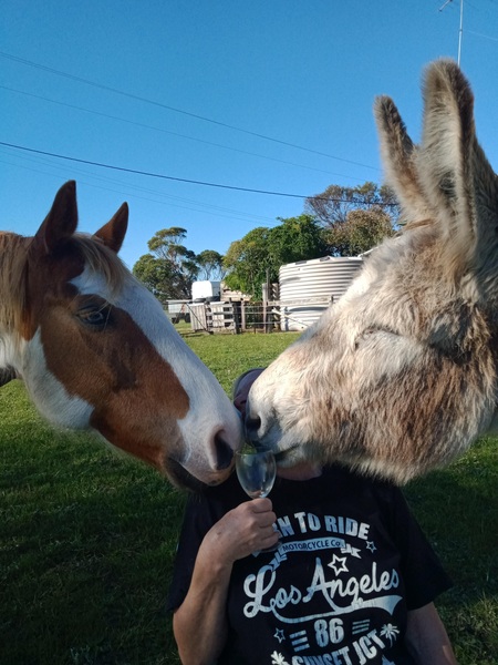 Entry image for Mo & Boots hoping to share that glass of wine. Clicking this image will show a larger photo