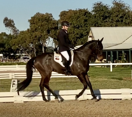 Entry image for HSES Dash . Clicking this image will show a larger photo