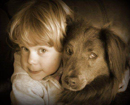 Entry image for Jaxon. Clicking this image will show a larger photo