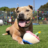 Entry image for Kirk