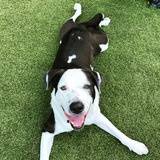 Entry image for Walter