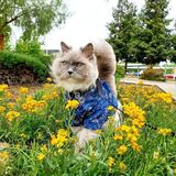 Entry image for Earl