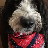 Entry image for Charlie