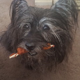 Entry image for Lachlan