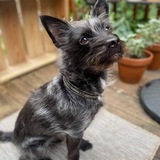 Entry image for Baxter 