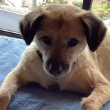 Entry image for Zoeyann