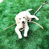 Entry image for Tori Jean Allen