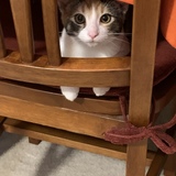 Entry image for Maddie Carlson