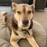 Entry image for Sitka