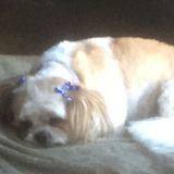 Entry image for Bella 