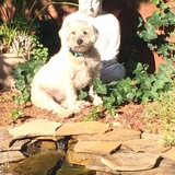 Entry image for Kyley