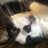 Entry image for Mari