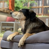 Entry image for Marleau