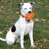 Entry image for Mika